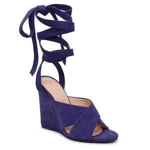 NWT Charles by Charles David Navy Wedges